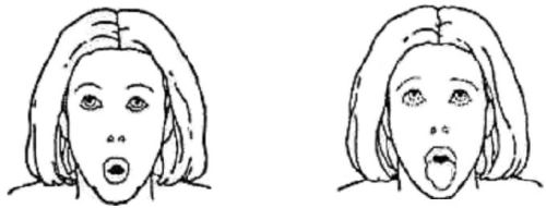 Лев (проработка мышц подбородка, шеи, окологлазная область лица, носогубные складки)