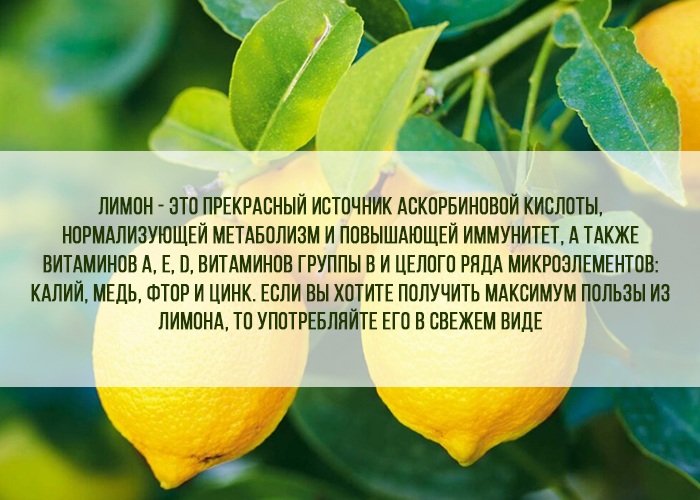 Лайфхак №1: Лимон – витаминная бомба