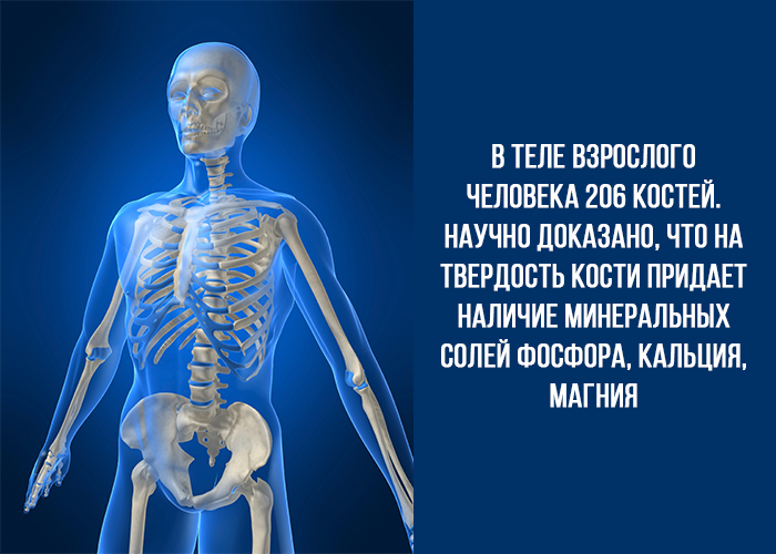 От чего зависит здоровье костей