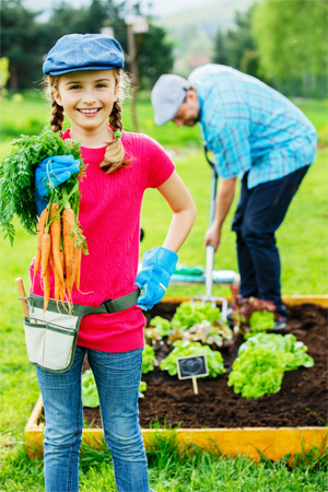 Полезные продукты выращиваются в собственном саду и огороде