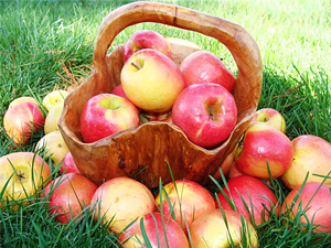 Яблочная диета помогает сбросить до 5 кг.