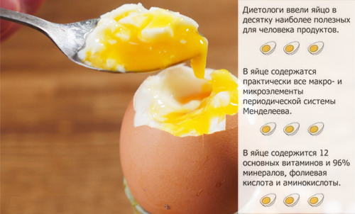 Состав и полезные свойства яйца куриного всмятку