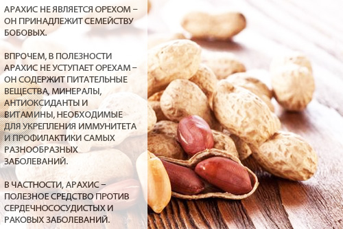 Состав и полезные свойства арахиса