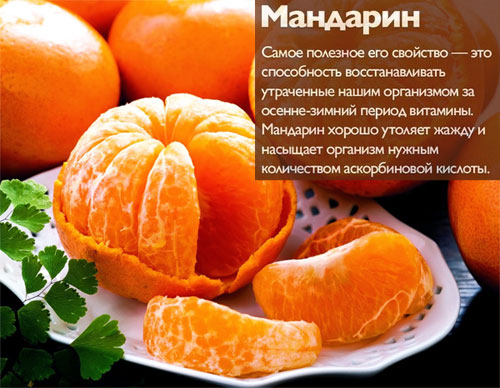 Состав и полезные свойства мандарина
