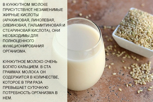 Состав и полезные свойства кунжутного молока