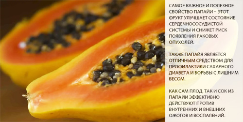 Состав и полезные свойства папайи