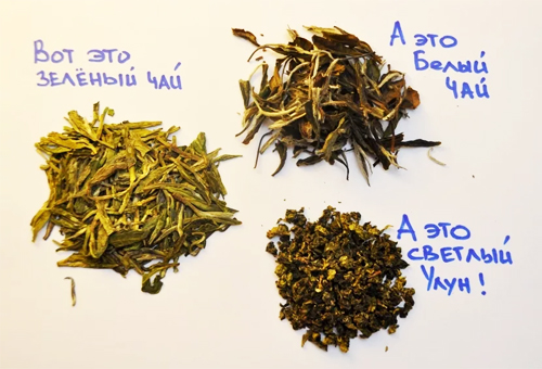 Виды чая зелёного
