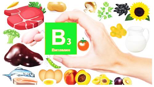 Пищевые источники витамина В3
