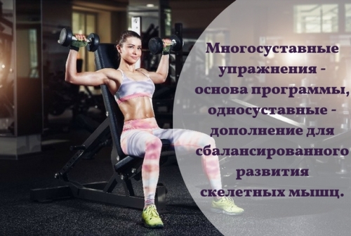 Обязательность базовых упражнений в программе тренировок - Движение – жизнь - Calorizator.ru
