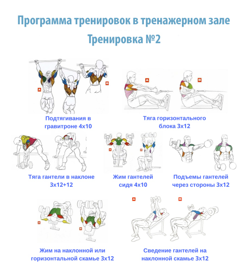 Как составить программу тренировок для зала - Движение – жизнь - Calorizator.ru