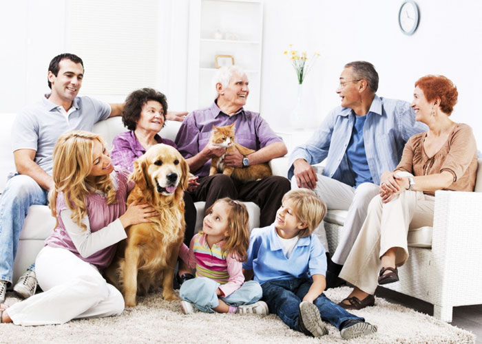 Как ужиться в одной квартире с родственниками