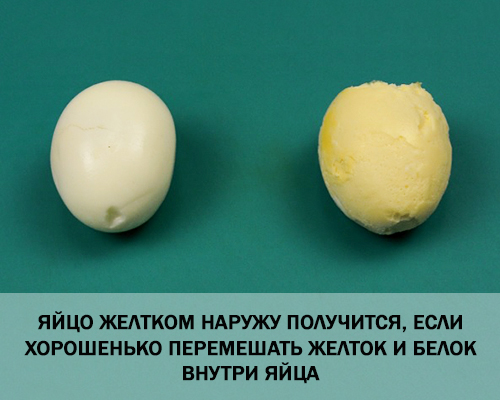 11 Лайфхак: Как сварить яйцо желтком наружу или «золотое яйцо»