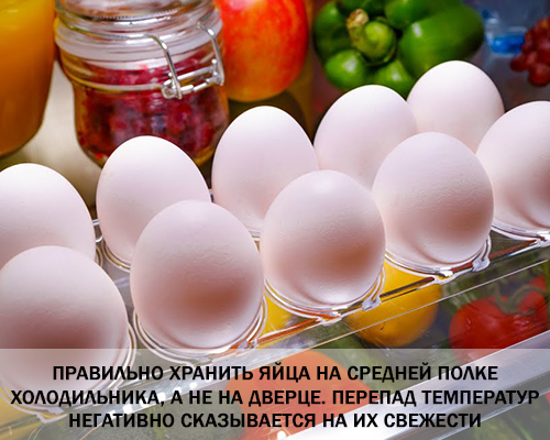 13 Лайфхак: Где лучше хранить яйца