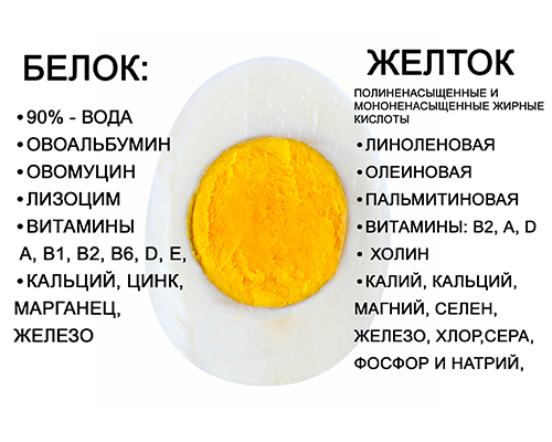 Чем полезны яйца? 15 полезных лайфхаков про яйца + 3 необычных рецепта их приготовления - Все о еде и ее приготовлении - Calorizator.ru