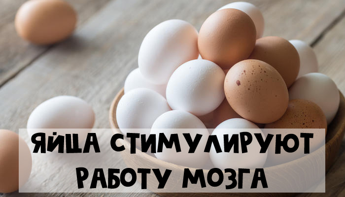 8 продуктов для памяти - яйца