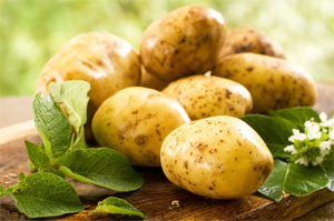 Что приготовить из молодого картофеля