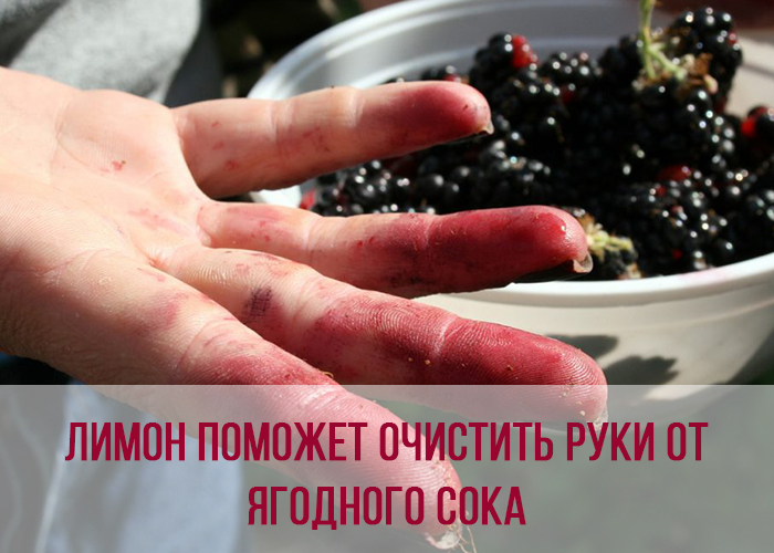 Лайфхак №8: Лимон поможет очистить руки от ягодного сока или зеленки