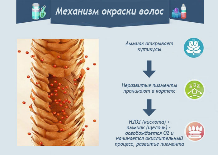 Как влияет окрашивание на состояние волос