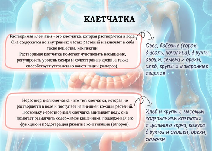 Клетчатка: больше, чем просто еда