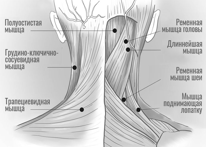 Головная боль напряжения: триггеры и методы устранения