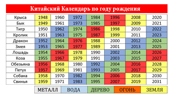 2024 год – Год какого животного и что от него ждать - Праздники -  Calorizator.ru