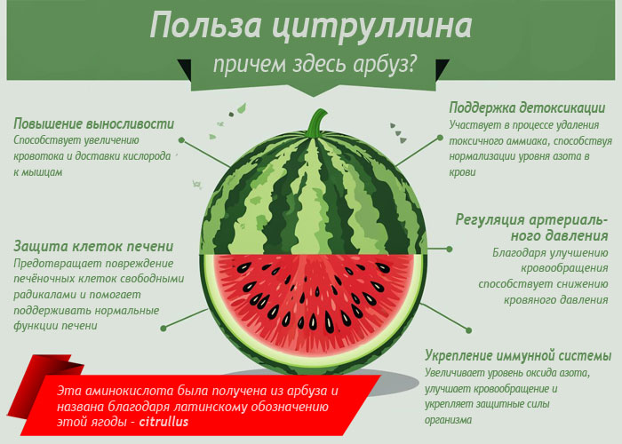 Цитруллин: что это за аминокислота и причём здесь арбуз