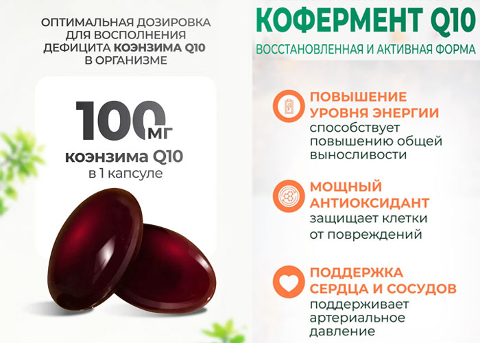 В чем необходимость убихинола для организма