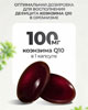 В чём необходимость убихинола для организма
