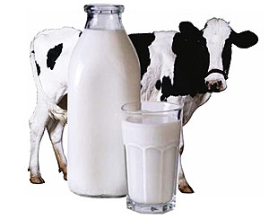 Разгрузка на молоке