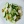 Кето-салат с оливками и сыром фета