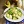 Салат с куриным филе и авокадо