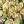 Салат-гриль из баклажан и брюссельской капусты