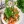 Легкий салат к куриной грудке