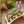 Салат из креветок и кукурузы