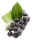 Черноплодная рябина - ягода, несущая здоровье