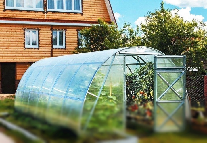 Как выбрать теплицу на дачу