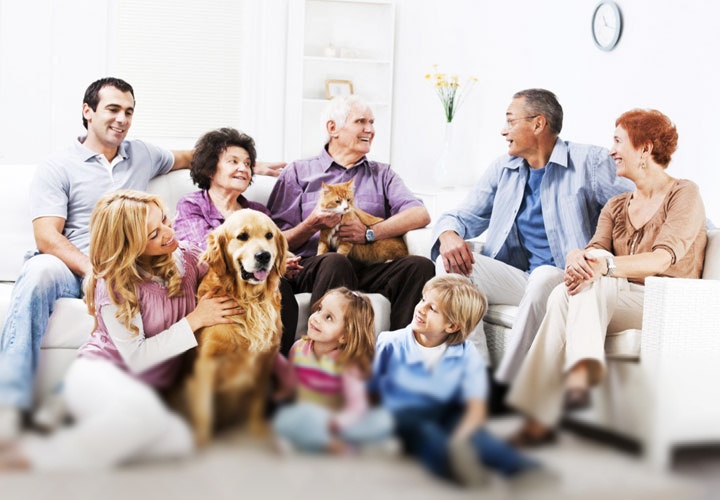 Как ужиться в одной квартире с родственниками