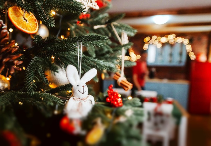 Как появился Новый год и каковы традиции его празднования? Как появился Новый год и каковы традиции его празднования?