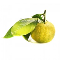 Лимон японский (Юзу)
