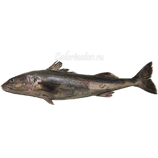 Треска чёрная (угольная рыба)