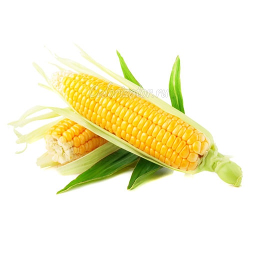 Кукуруза сладкая в початках - калорийность, полезные свойства, польза ивред, описание - Calorizator.ru