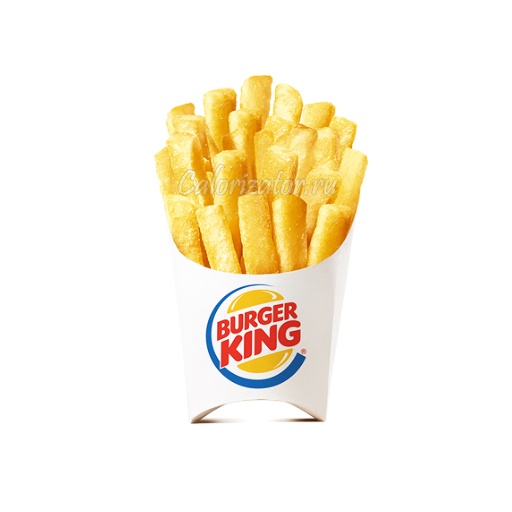 potato king fries burger king