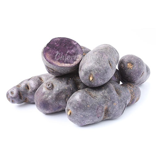 Картофель фиолетовый - калорийность, полезные свойства, польза и вред, описание - Calorizator.ru