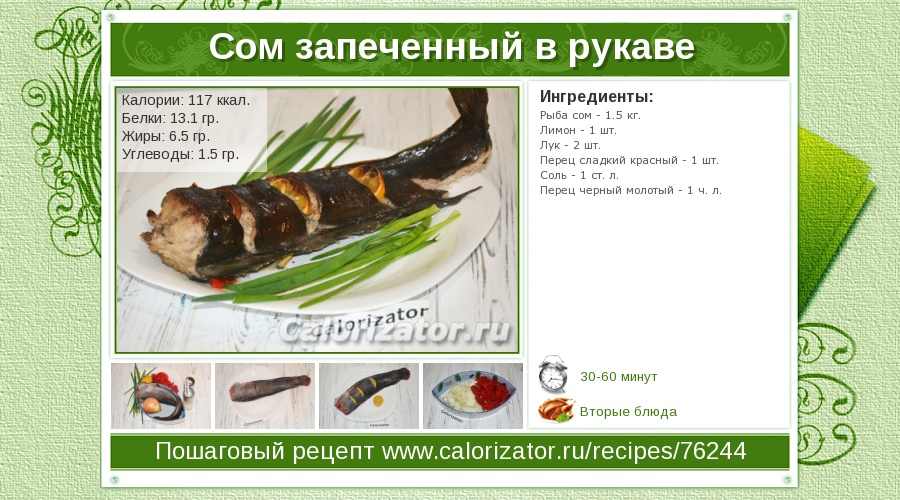 Сом в духовке - 8 вкусных рецептов приготовления с пошаговыми фото