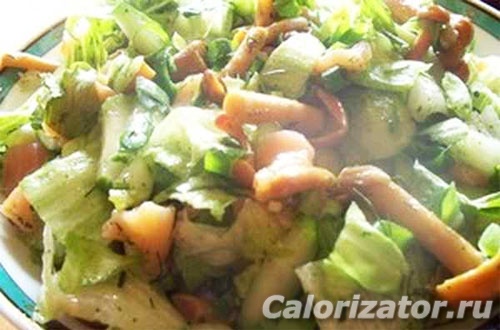 Салат айсберг с опятами и куриной грудкой Салат айсберг с опятами и куриной грудкой