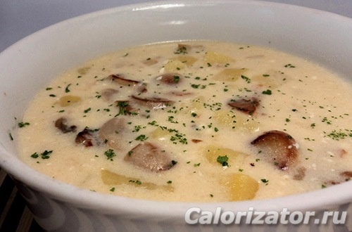 Суп из белых грибов с плавленым сыром: рецепты приготовления