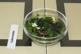 Готовое блюдо: салат с шпинатом и микрозеленью