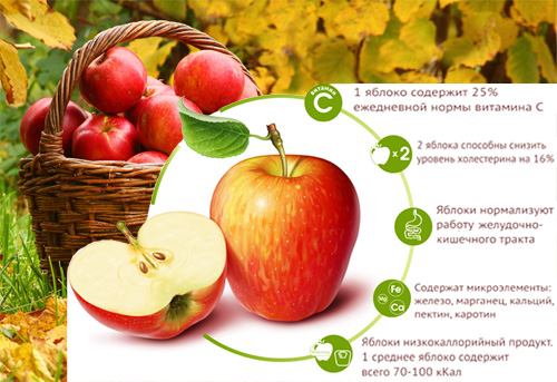 Состав и полезные свойства яблока