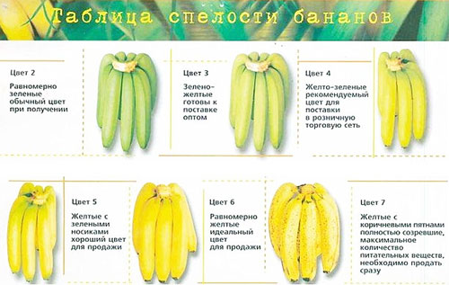 Как выбрать бананы