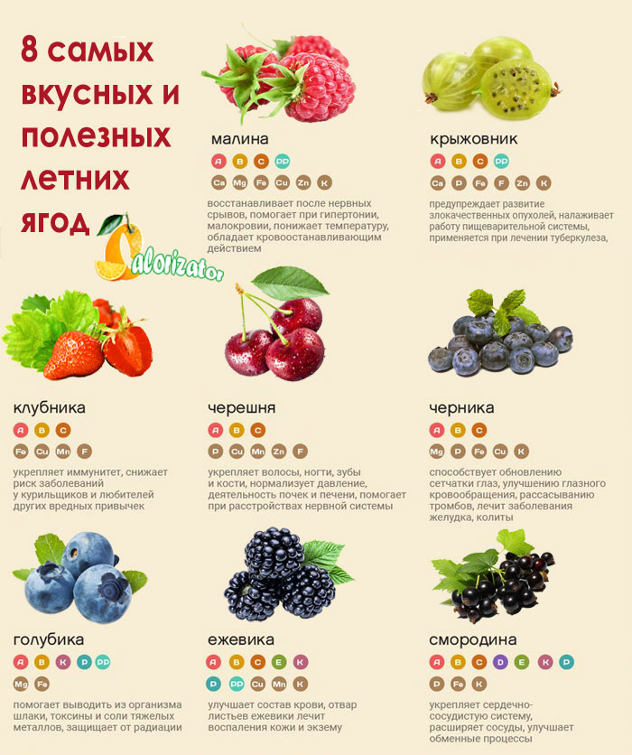 Состав и полезные свойства ягод